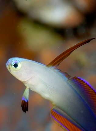 �����@�T���K�E�h